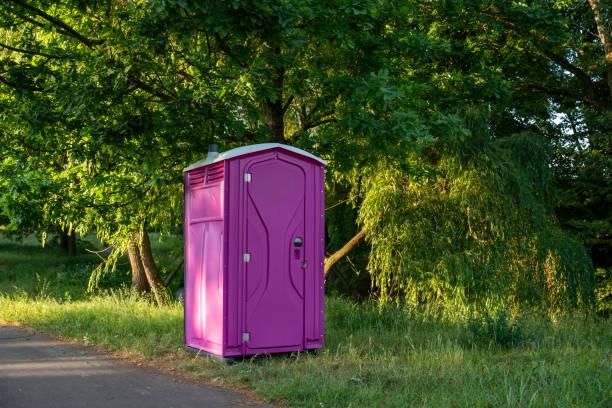 Portable Toilet Options We Offer in Limestone, IL